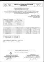 Carica l'immagine nel visualizzatore di Gallery, HARLEQUIN