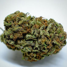 Carica l'immagine nel visualizzatore di Gallery, HARLEQUIN