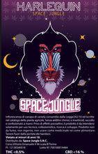 Carica l'immagine nel visualizzatore di Gallery, HARLEQUIN