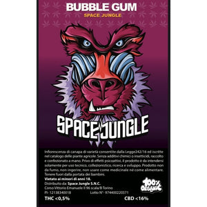 Special Pack Bubble Gum